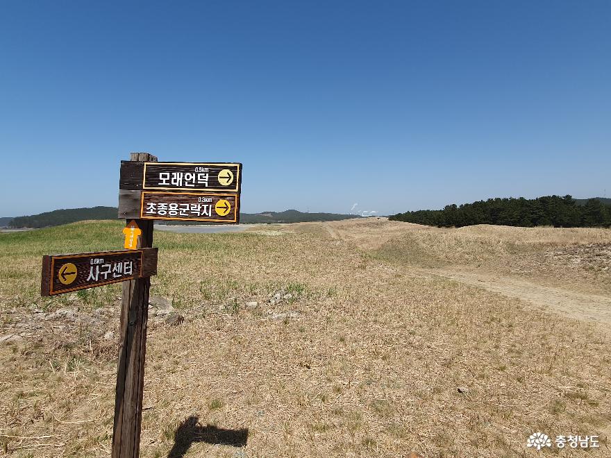한국에서가장큰모래언덕태안신두리해안사구 8