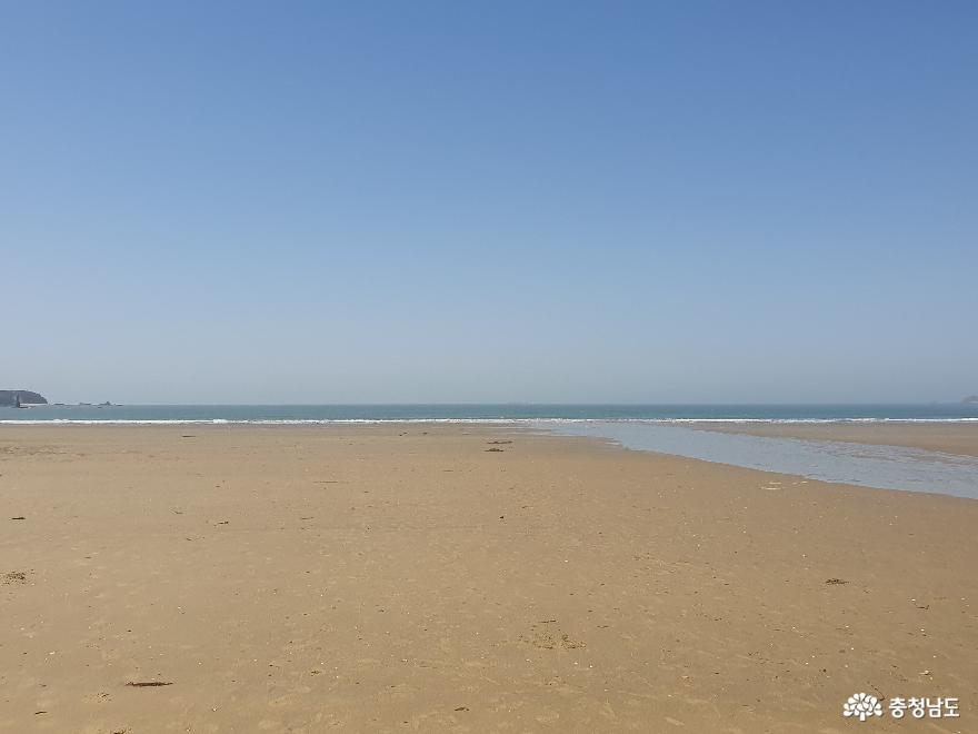 한국에서가장큰모래언덕태안신두리해안사구 19