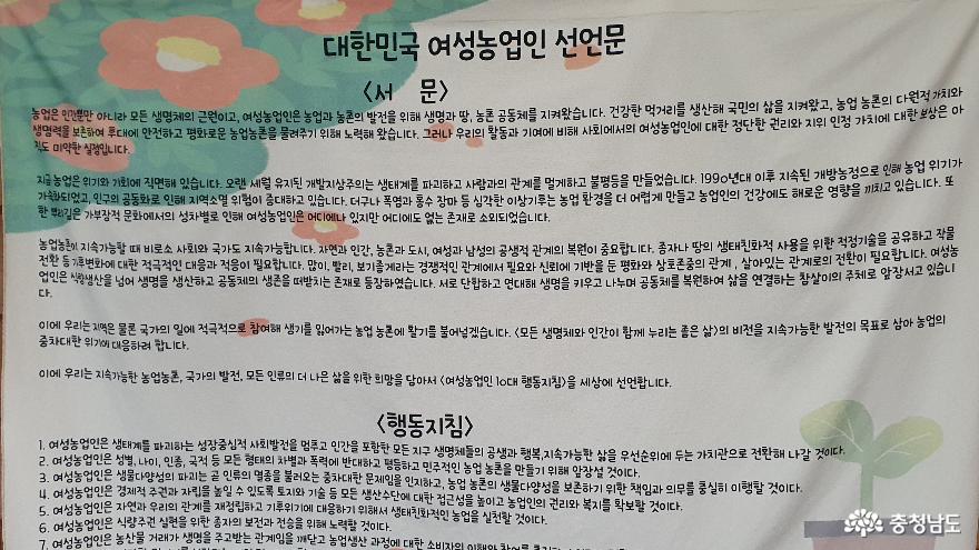서천 아리랑 동백숲 수선화 축제 사진