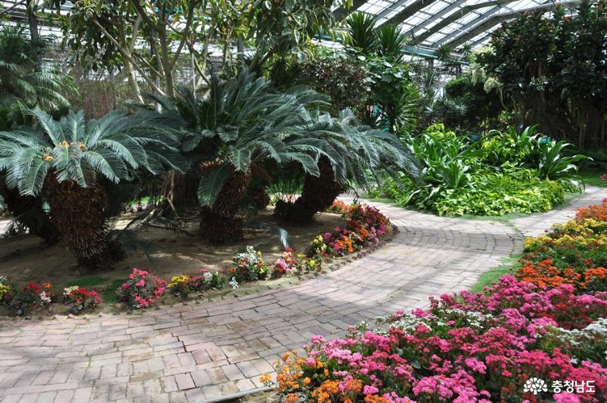 재개장한세계꽃식물원에서아름다운힐링의시간을보내다 10