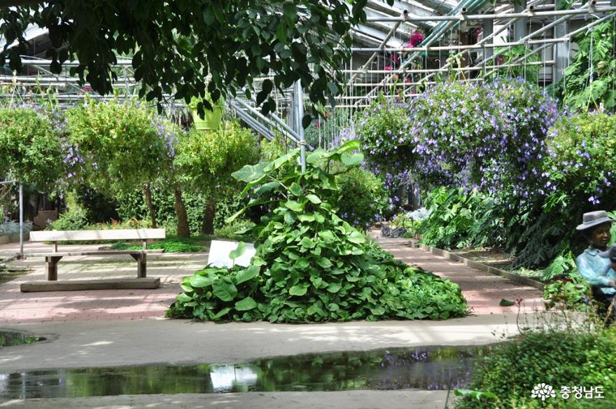 재개장한 세계꽃식물원에서 아름다운 힐링의 시간을 보내다 사진