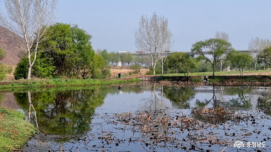 연못에 반영된 냇물 풍경