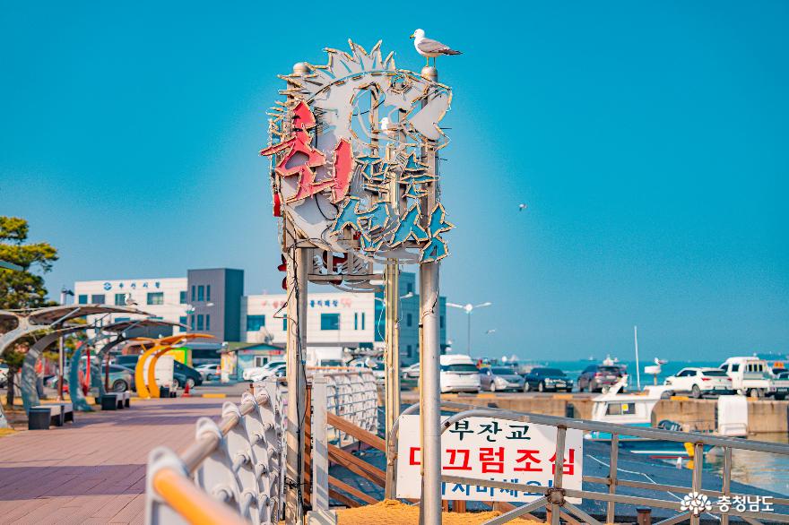 충남의 봄바다 서산 삼길포 회뜨는 선상으로 떠나는 감성여행 사진