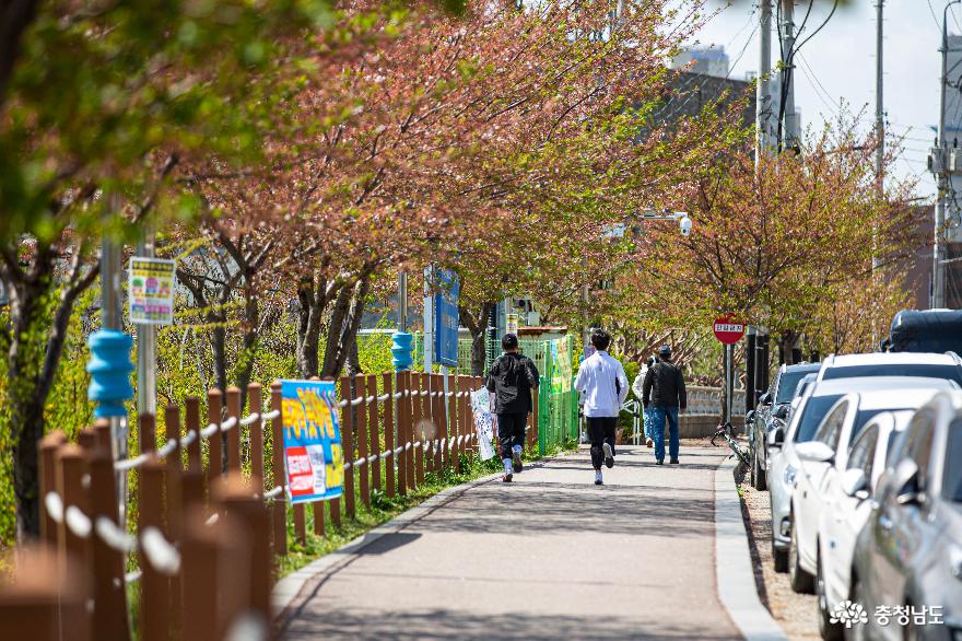 천안 천호지 공원 다섯 개의 마당으로 새롭게 떠오르다. 사진