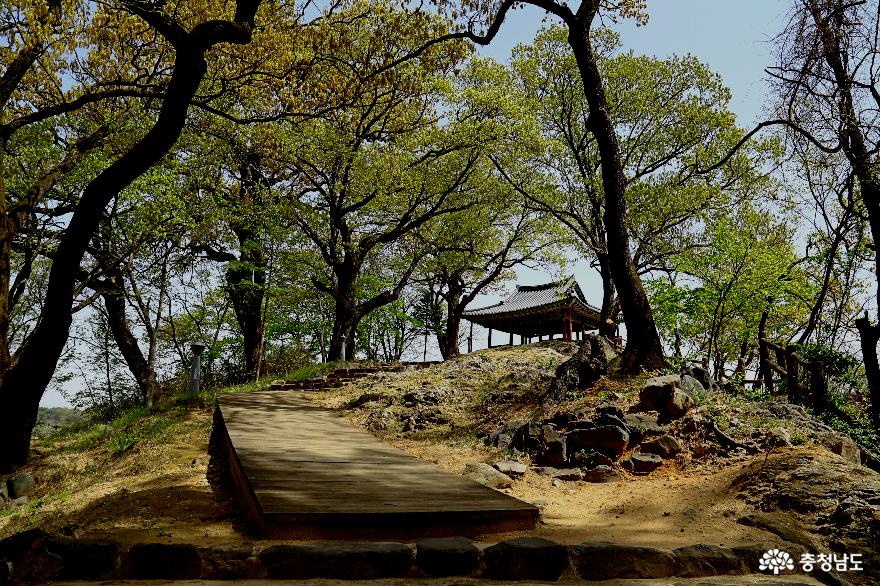 금강가에 자리잡은 수북정 부풍사 부산서원 충남 부여 여행