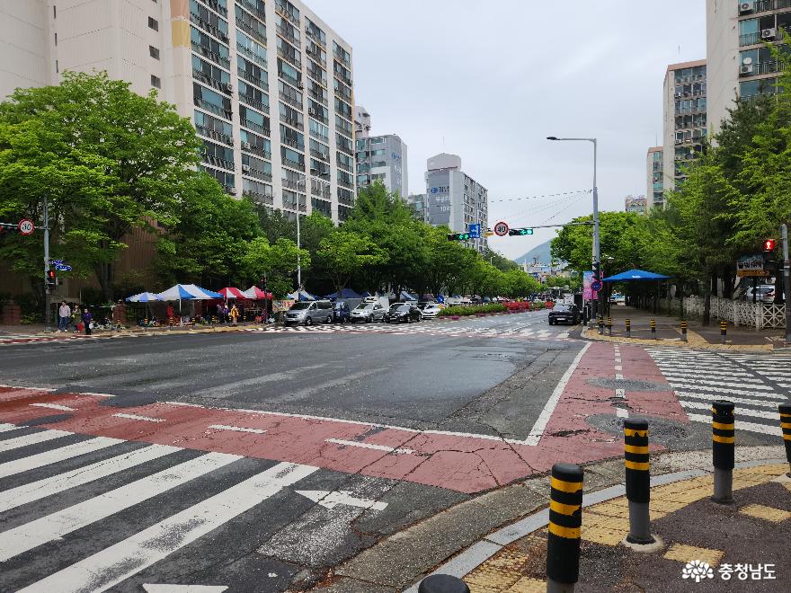 계룡시 엄사에서 만나는 생기 넘치는 화요장터