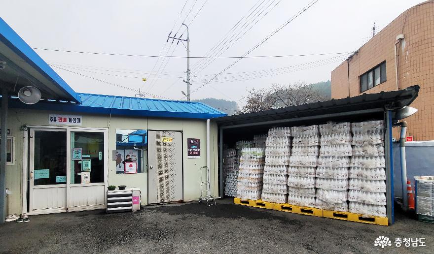 대한민국 전통을 빗다 공주 ‘사곡양조장’ 사진
