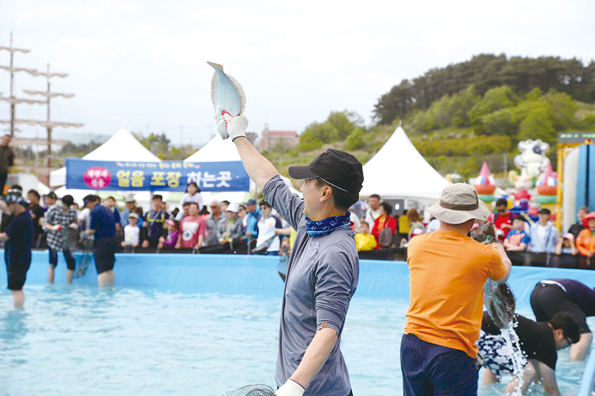 제17회 서천 자연산 광어·도미 축제 ‘짜릿한 손 맛 느껴요’