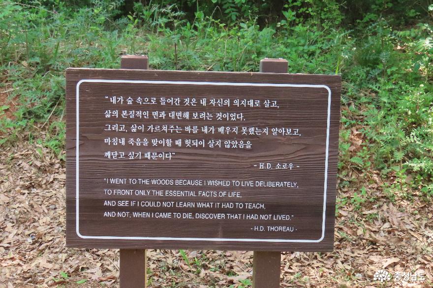 서천 국립생태원 생태학자의 길 : 소로우 길 이야기 사진