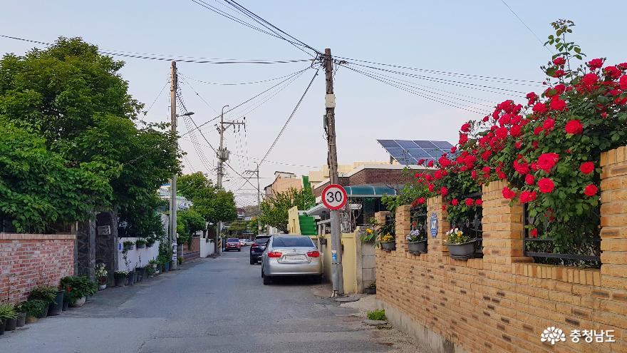 공주시 옥룡동 버드나무 4길 골목길 풍경