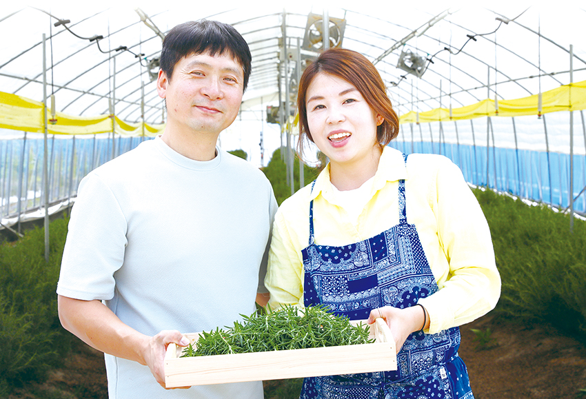 ‘심고 뜯고 맛보고 즐기고’ 오감으로 전하는 농업·농촌의 가치