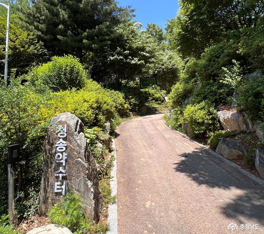 우리동네 약수터