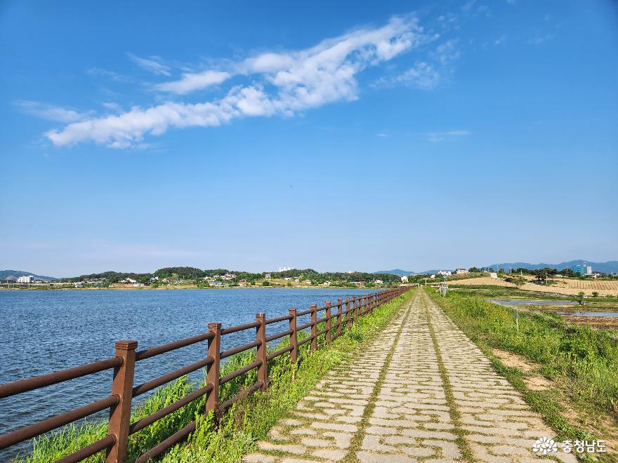 서산 잠홍저수지 산책로에서