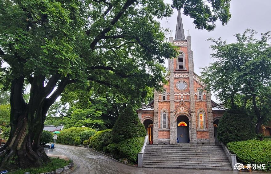 한국에서 가장 아름다운 공세리성당 빗속 풍경