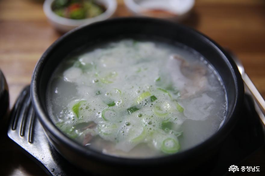 충남관광