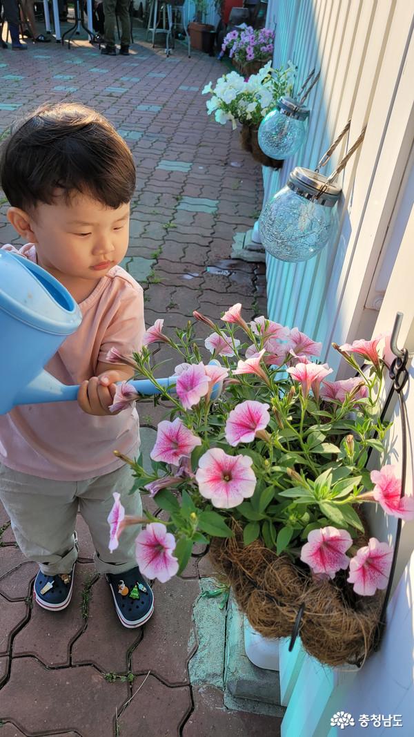 이 어린이는 주인장의 허락 아래 꽃에 직접 물을 주는 체험을 할 수 있었습니다. 