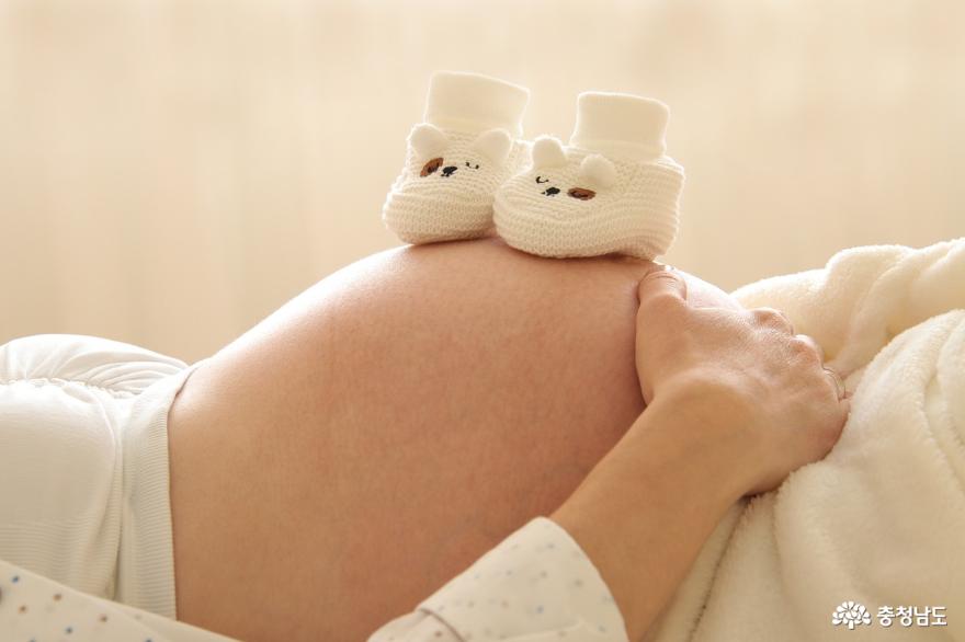 아산시 임신 출산 지원 서비스는 머가 있을까요?