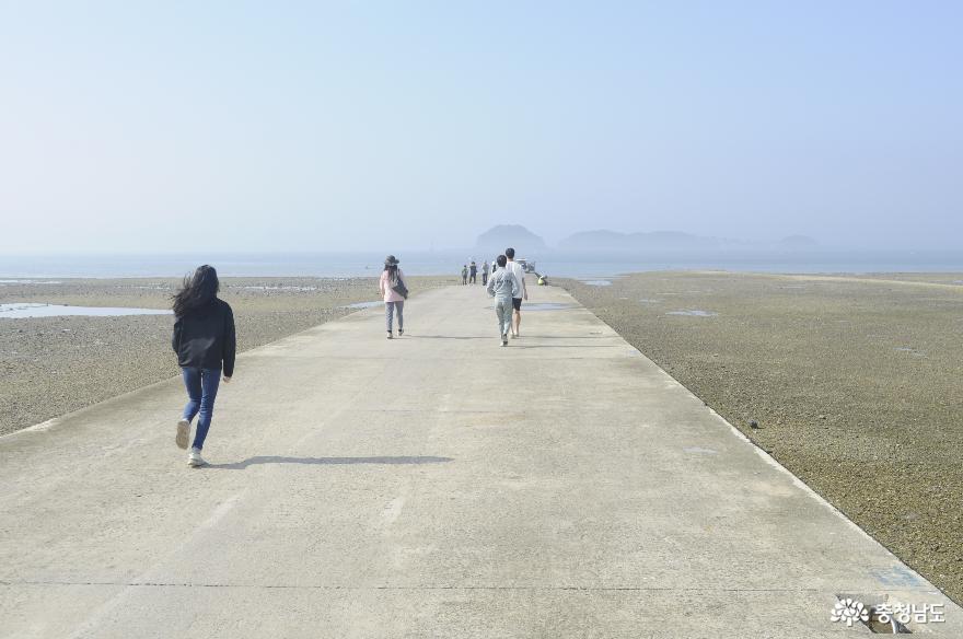 > > >충남관광 충남관광