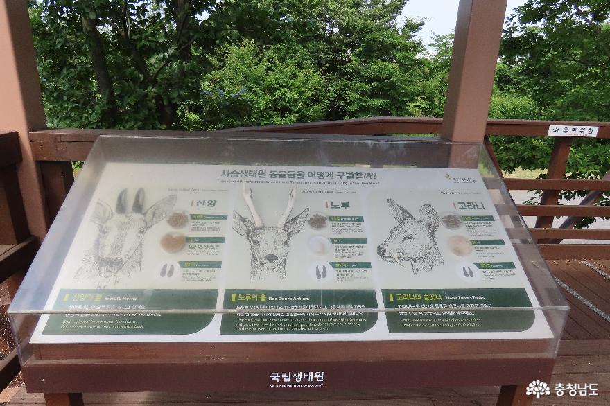 서천 국립생태원 구석구석 둘러보기 : 사슴생태원과 DMZ 전시원 사진