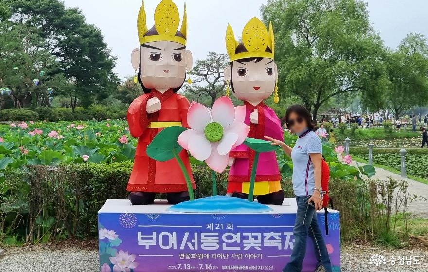 제21회 부여서동연꽃축제