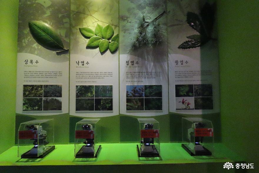 서천 국립생태원 에코리움에서 만나는 상설주제 전시관 이야기 사진