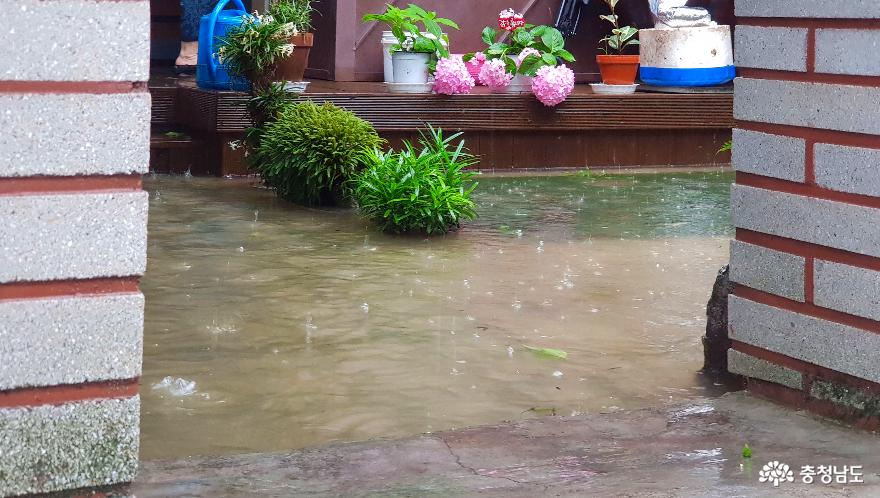 공주시 옥룡 4통 주택 마당까지 비가 들어와 있다.