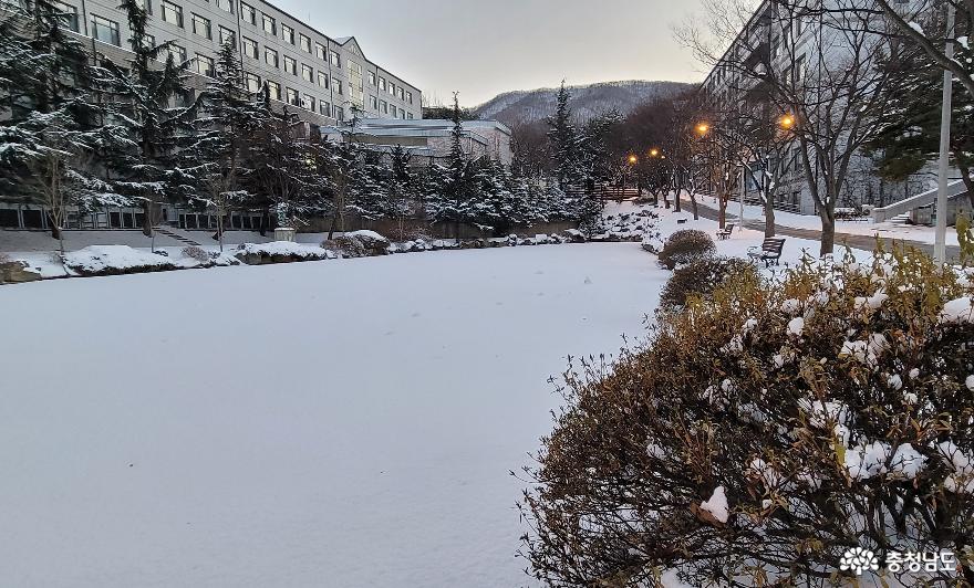 호서대학교 세심호 겨울 풍경.