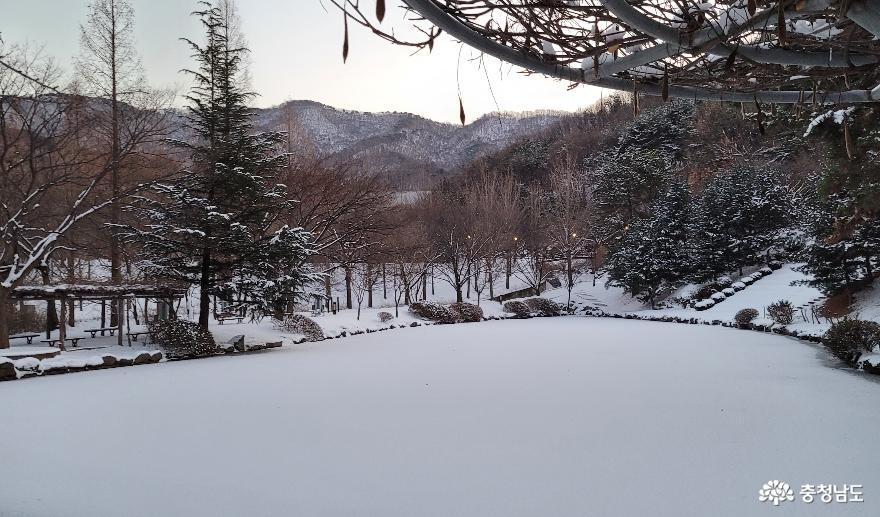 호서대학교 나래호의 겨울 풍경. 