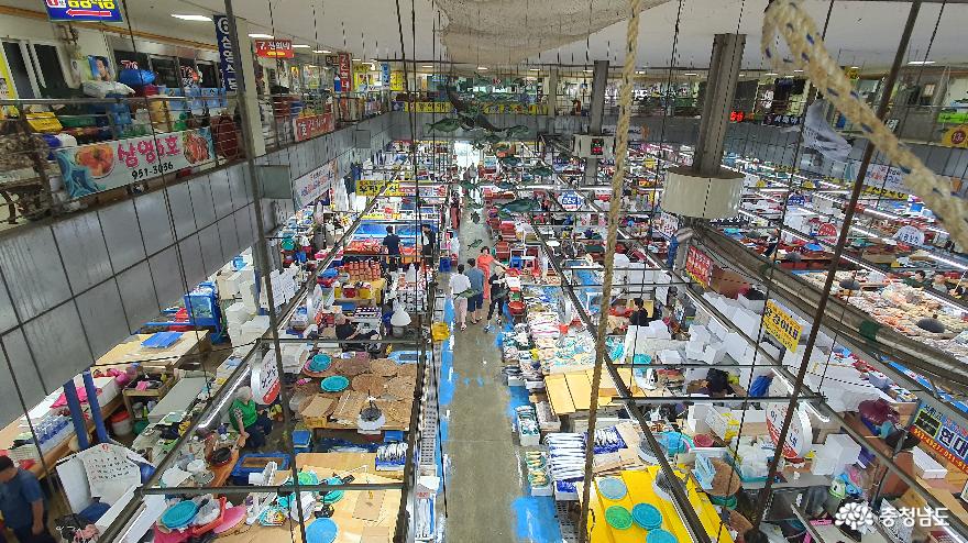 통통 충남 여름휴가는 바다가 있는 서천 특화시장으로 놀러오세요. 사진