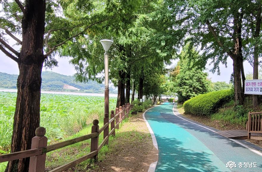 아산 신정호수공원 수변 산책로. 