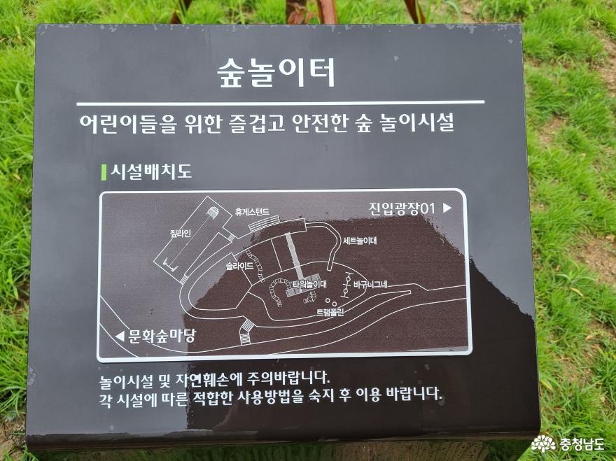 천안노태공원에수국꽃활짝 2
