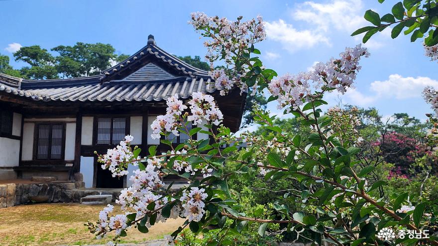 국가민속문화재 명재고택(明齋古宅)과 노성향교( 魯城鄕校) 여름 풍경 사진