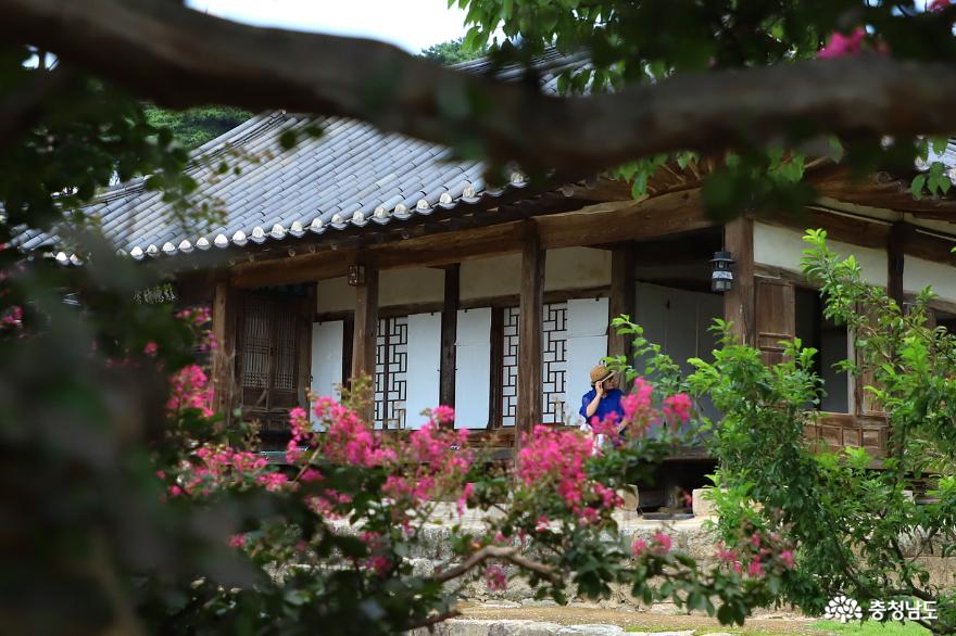 국가민속문화재 명재고택(明齋古宅)과 노성향교( 魯城鄕校) 여름 풍경 사진