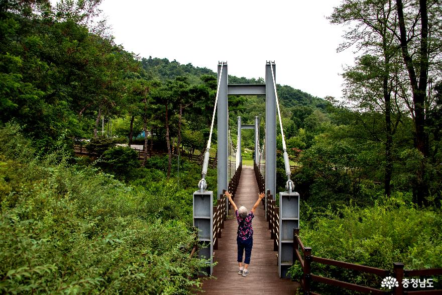 맨발로걸어본논산노성산등산로 2