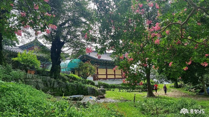 충남관광