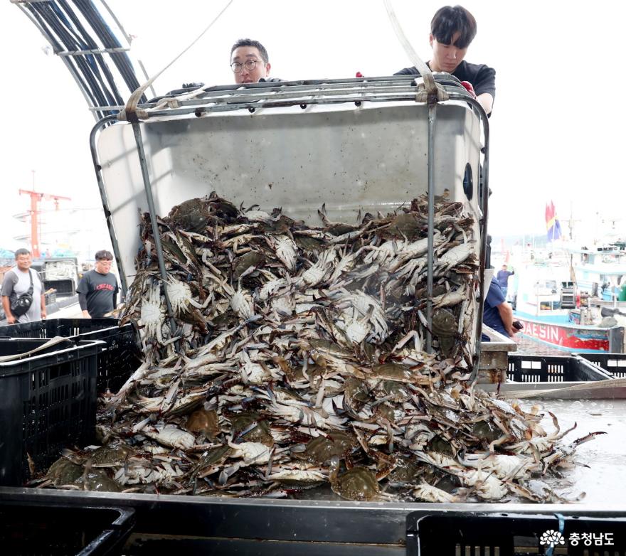 해산물 씨를 말리는 불법 조업, 어민들 생계 타격