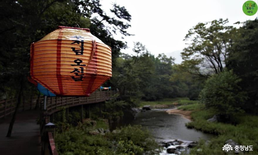 아름다움이피어나는불교문화유산마곡사 9