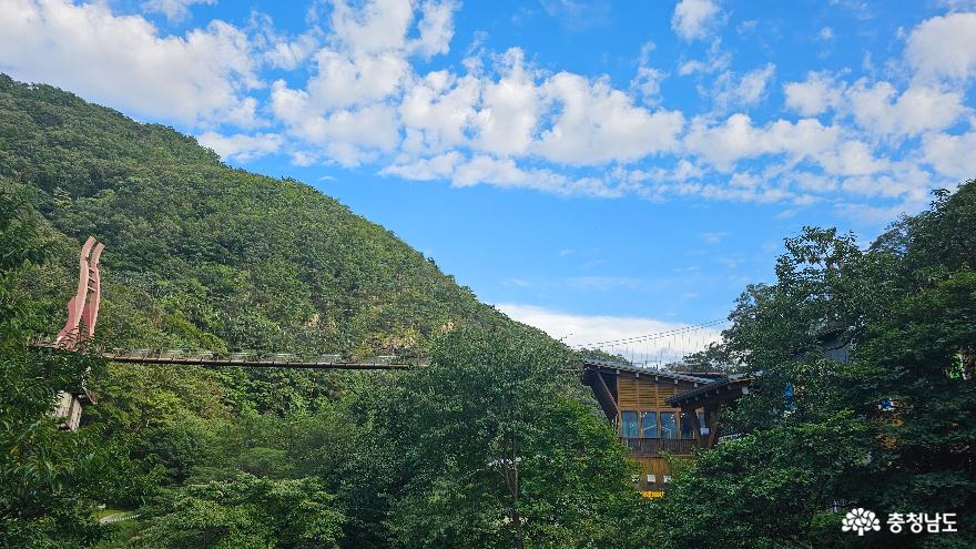 중부권 최고의 산림생태종합휴양단지 금산산림문화타운(남이자연휴양림)