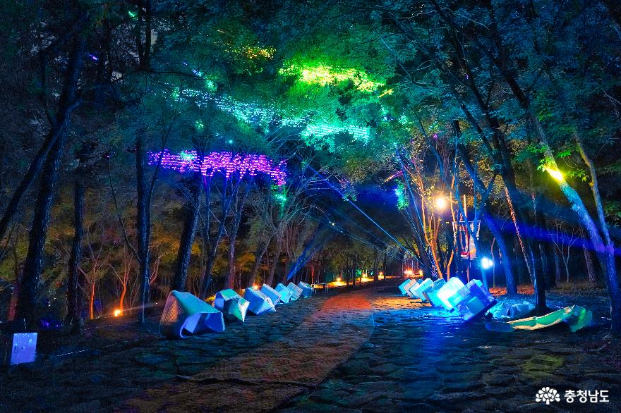 가을밤 즐기기 좋은 야간 행사, 2023 부여 문화유산 미디어아트 사진