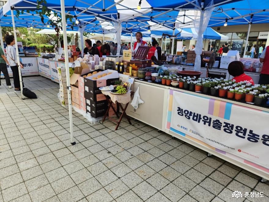[부여군] '굿뜨래 우수상품전'과 고향사랑기부제 홍보활동에 다녀오다 사진