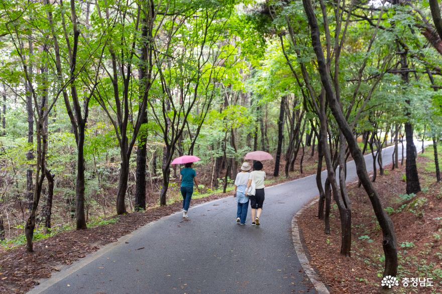 2023 대백제전 관람 후 성흥산 사랑나무에서 인생사진을 사진