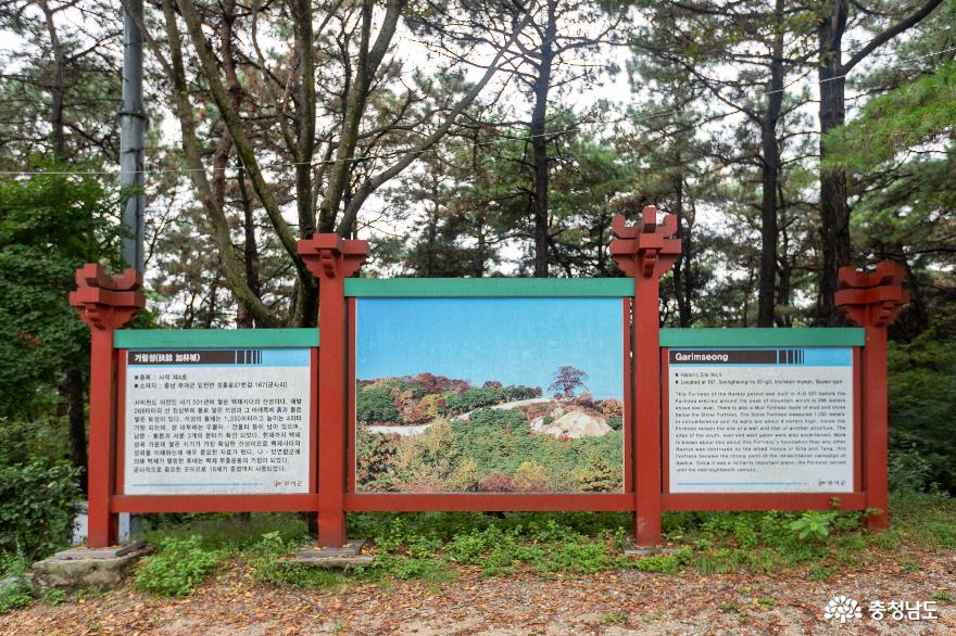 2023 대백제전 관람 후 성흥산 사랑나무에서 인생사진을 사진