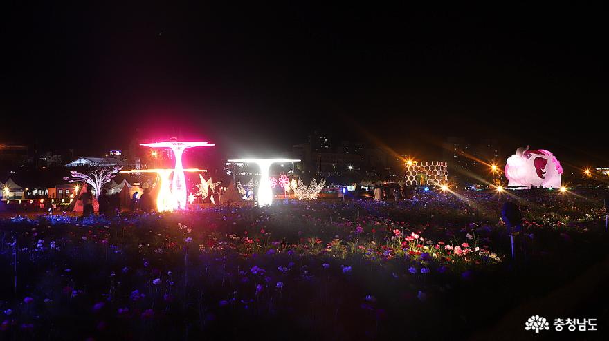 웅진백제 별빛정원 미르섬의 낮과 밤 사진