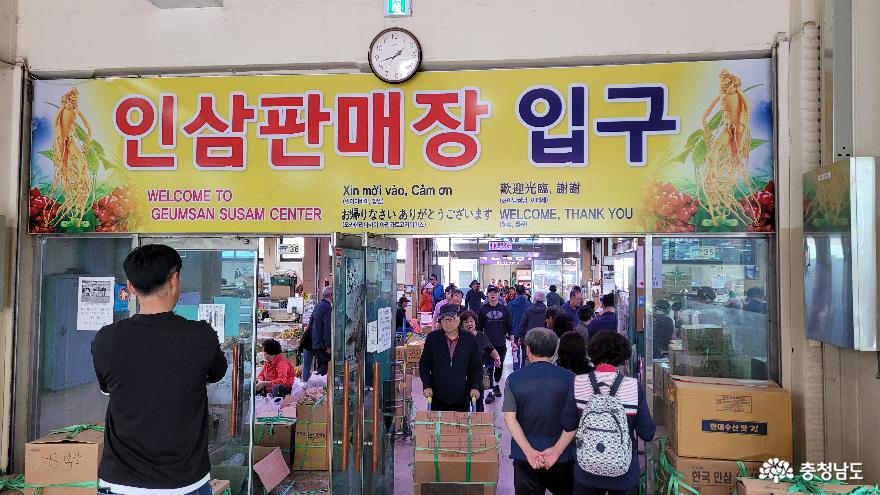 여행 - 금산세계인삼축제 (제41회) 2023 THE41st - 충청남도 금산세계인삼축제 (제41회)  2023 THE41st
