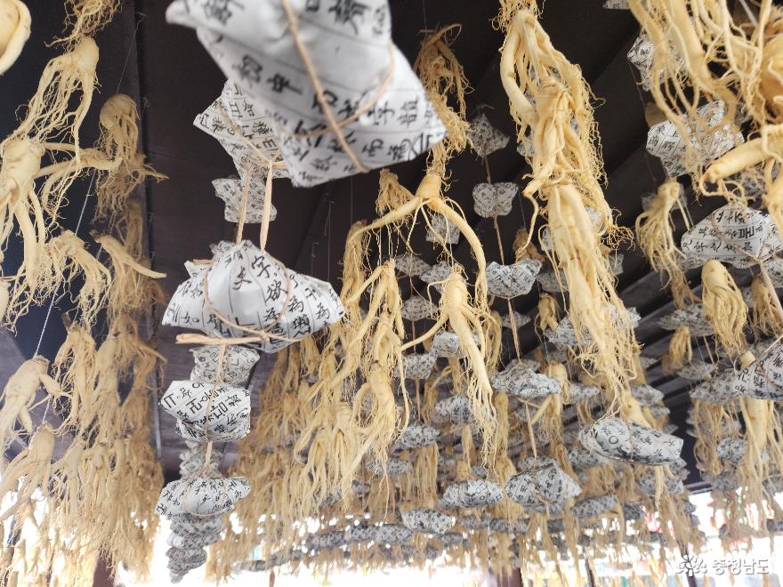 금산세계인삼축제에서 K-인삼의 맛과 향기에 취하다 사진