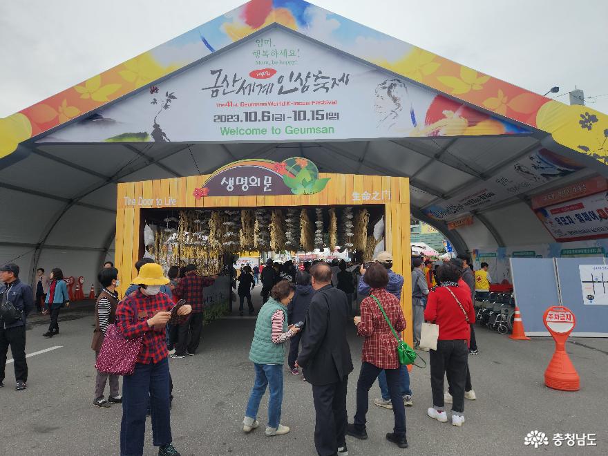 금산세계인삼축제에서 K-인삼의 맛과 향기에 취하다 사진