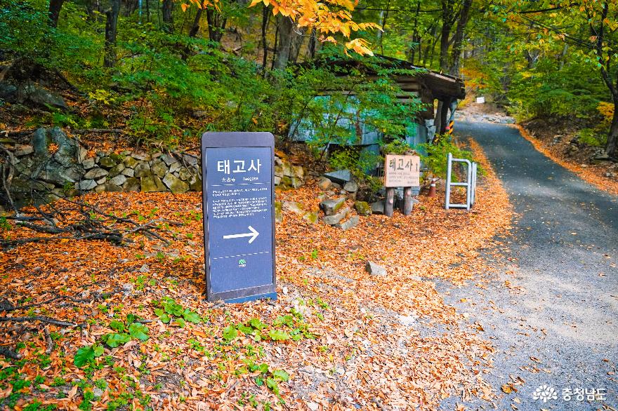 대둔산 도립공원에 폭 안긴 오래된 사찰, 금산 태고사 사진