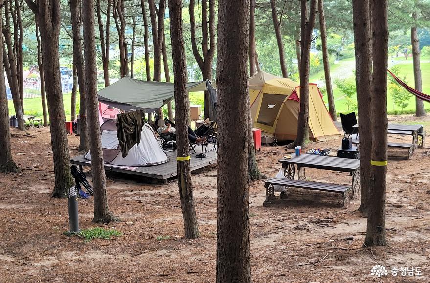 천안시 동남구 독립기념관 캠핑장 전경.