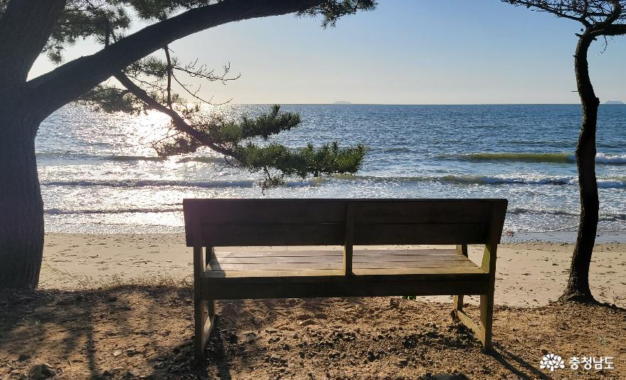 충남 태안군 안면도 밧개 해변의 의자에서 바라본 서해.