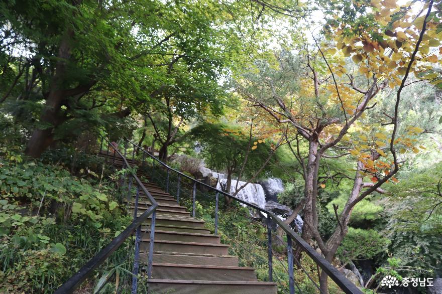 가을산책아름다운정원화수목 11